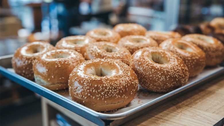 a tray of sesame seed Montreal-style bagels