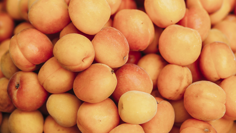aerial view of apricots