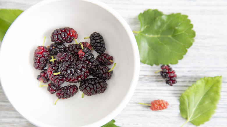 bowl of mulberries