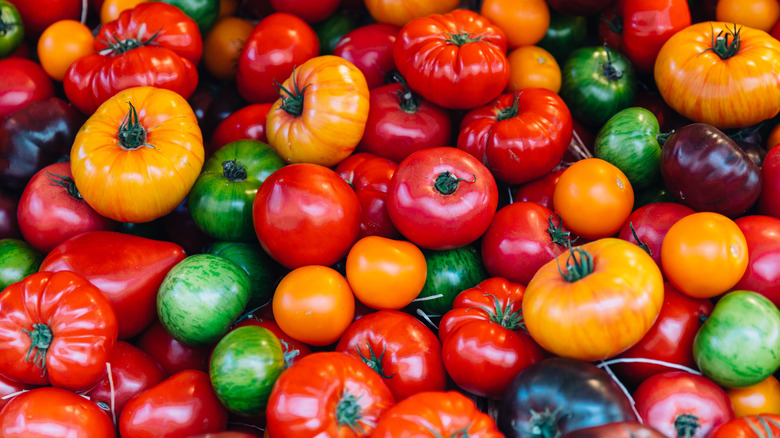 aerial view of colored tomatoes