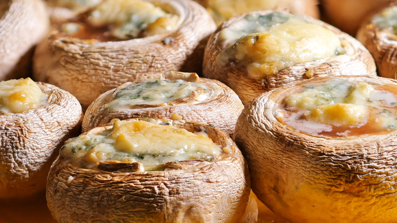 Stuffed mushrooms with melted cheese on top