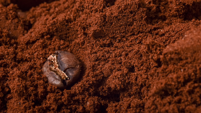 close up coffee grinds