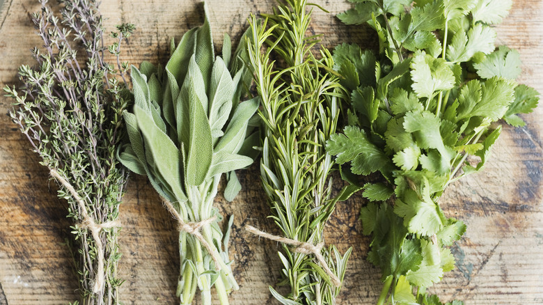 bundles of fresh herbs tied with twine