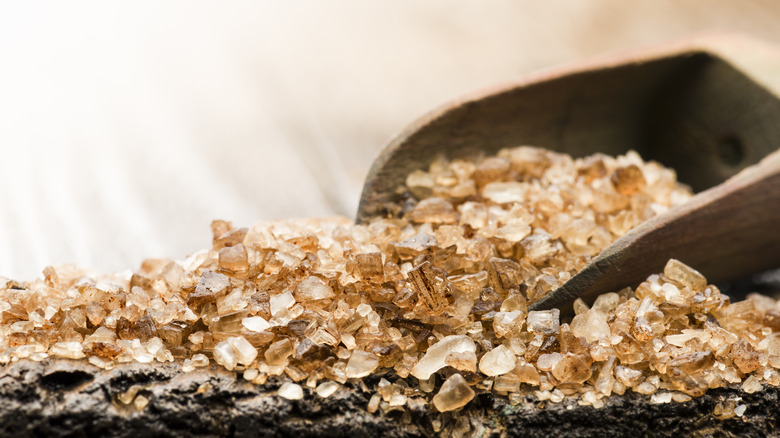 wooden spoon and smoked salt