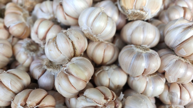garlic heads in a pile