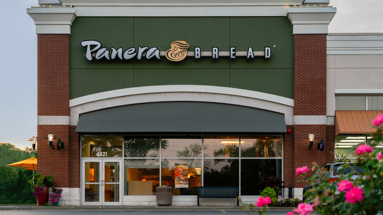 The exterior of a Panera Bread restaurant with pink flowers in the foreground