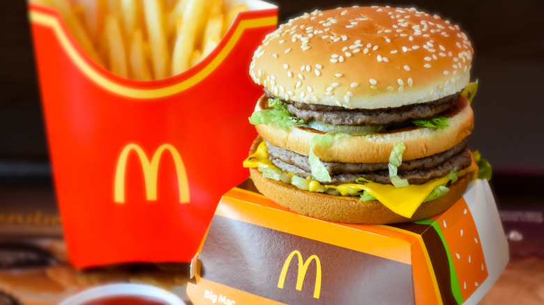 A Big Mac sitting on top of it's carton with fries in the background