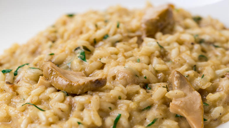 Mushroom risotto on a plate
