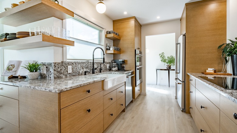 Mid-century modern kitchen with shelves, plates, and plants