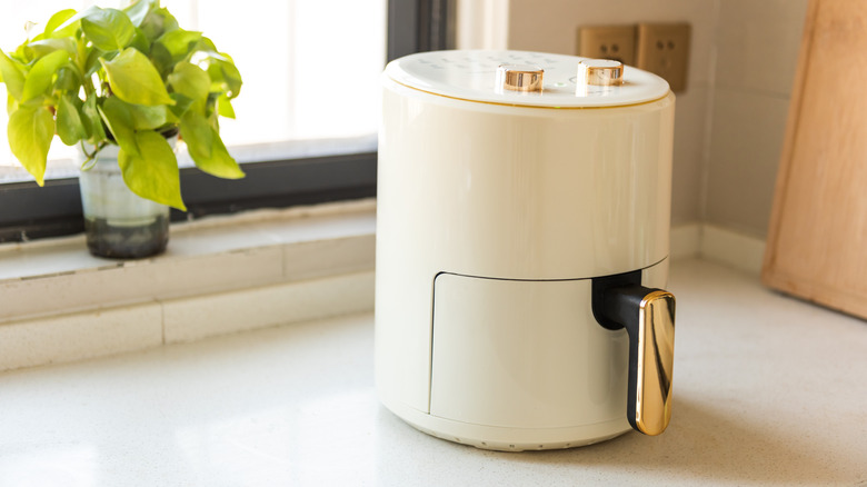 air fryer on kitchen counter