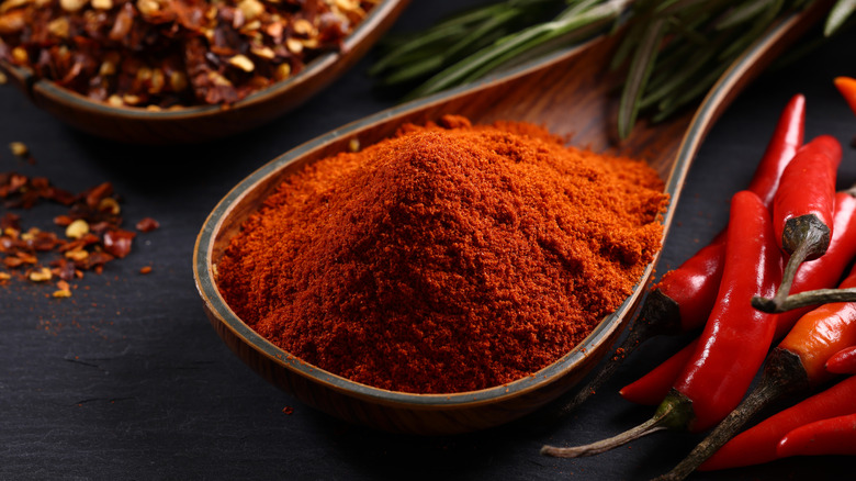 cayenne pepper in large spoon