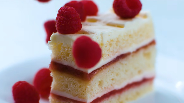 Slice of raspberry layer cake with fruit on top
