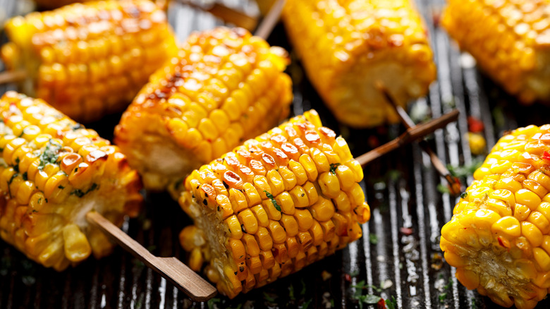 Grilled corn on the cob on sticks with fresh herbs.
