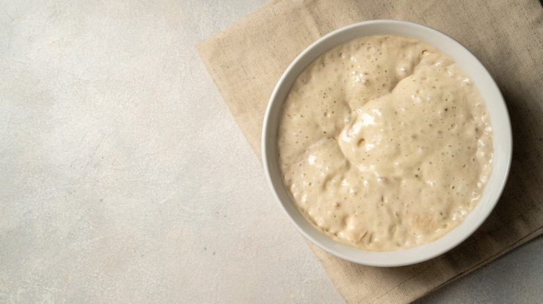 Sourdough in a large white bowl