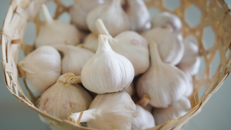 Bin of garlic heads