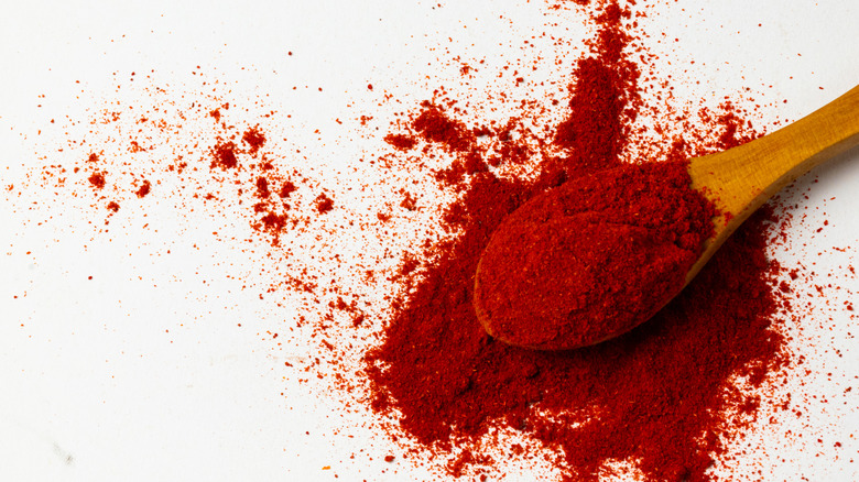 Spoon of smoked paprika powder on white background