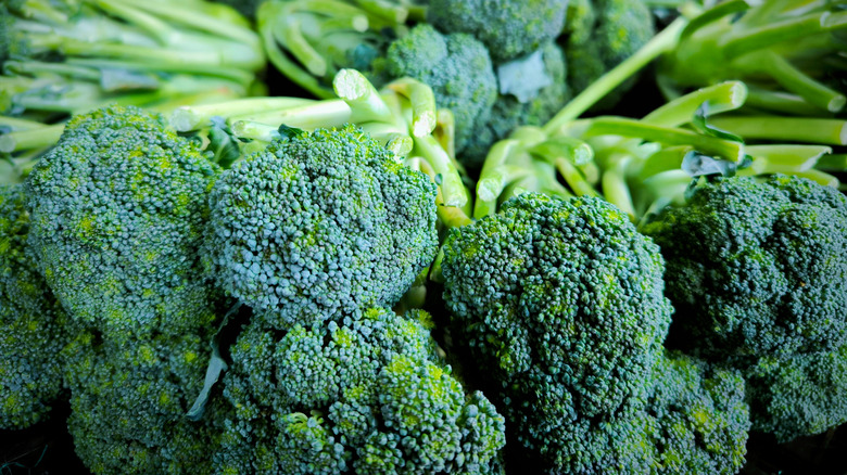 Broccoli arranged in bundles