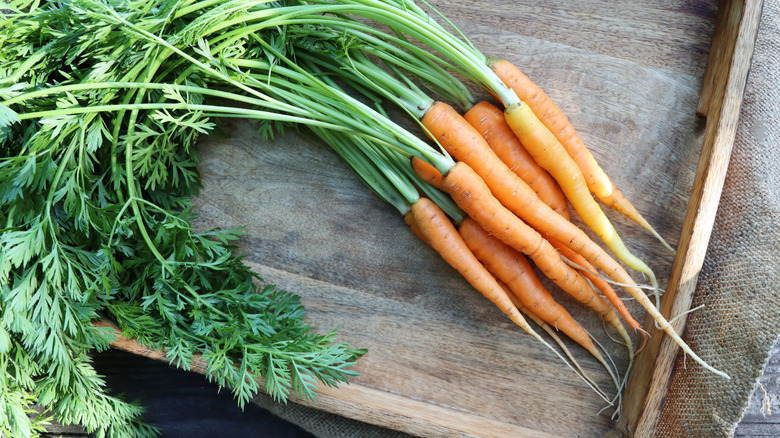 Homegrown carrots with tops attached