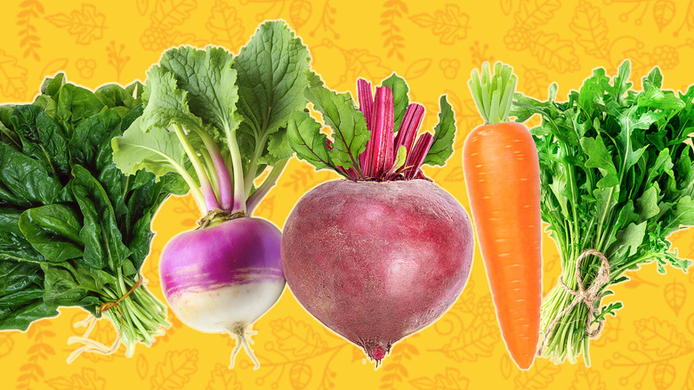 Fall vegetables on leafy yellow background