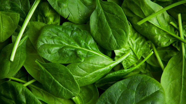 Leafy green spinach in a pile