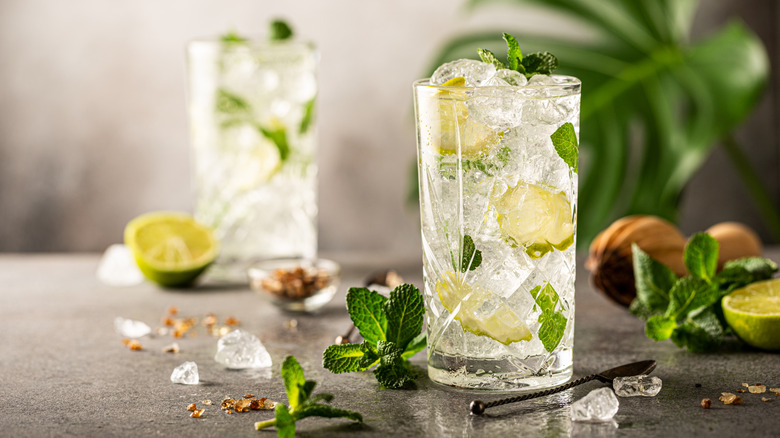 White wine mojito cocktail in a highball glass