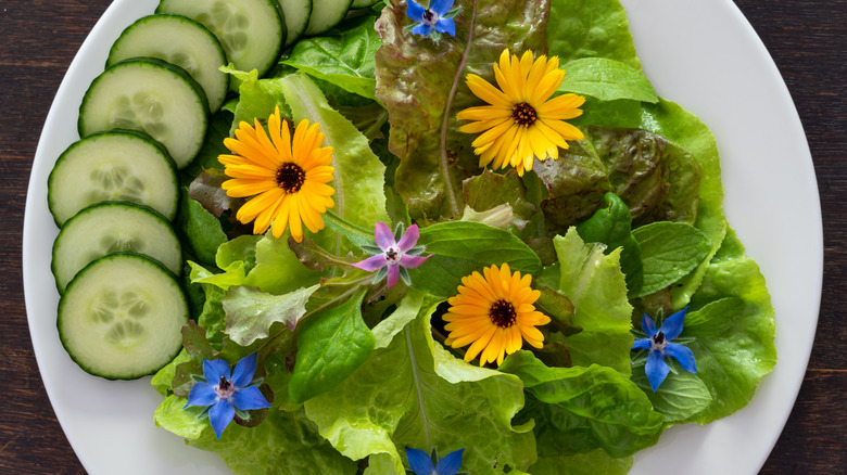 salad with edible flowers including borage