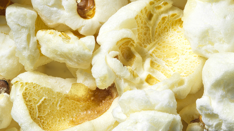 Macro shot of popcorn kernels