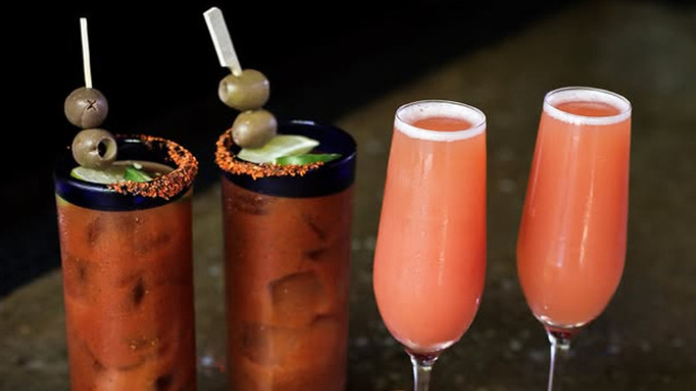 Two Bloody Marys in tall glasses with olive garnishes and two pink bellinis in champagne flutes
