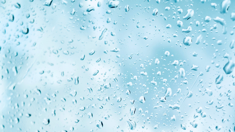 rain drops on window