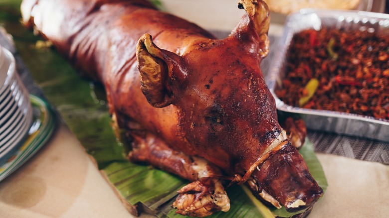 A whole roasted pig on a table