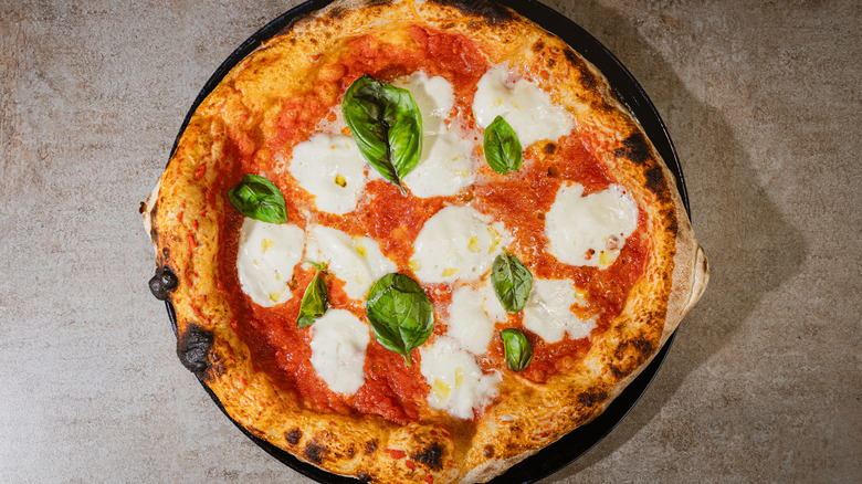 Neapolitan pizza Margherita with mozzarella and basil