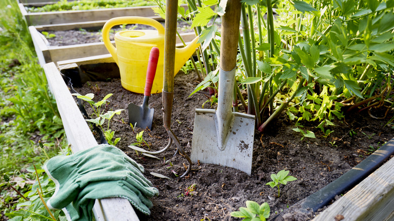 garden bed with shovel and gloves