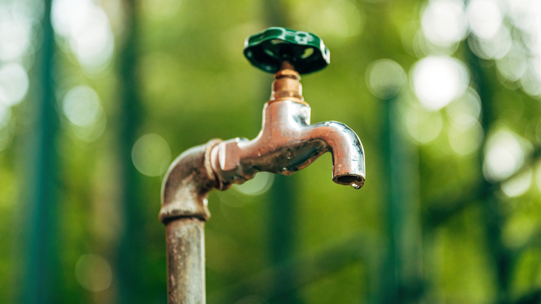 water spigot on green background