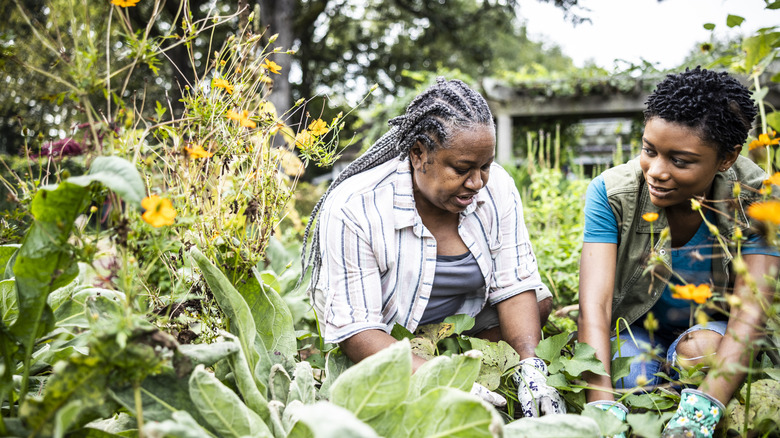 old woman and young woman gardening together
