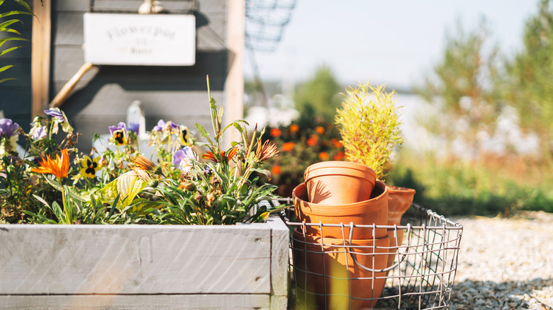 small raised bed with plants in it