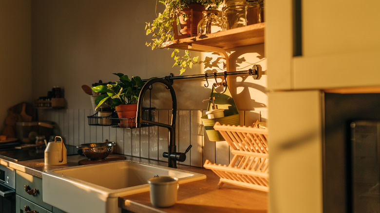 Kitchen sink surrounded by natural color palette and plants