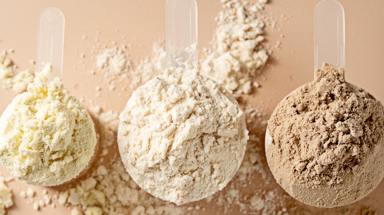 Three scoops of protein powder on a brown background