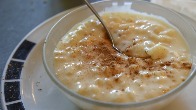 Rice pudding in a bowl with cinnamon
