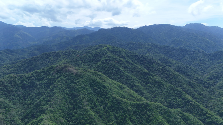 The Blue Mountains in Jamaica