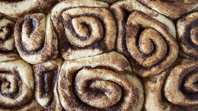 Many cinnamon rolls in a pan close up