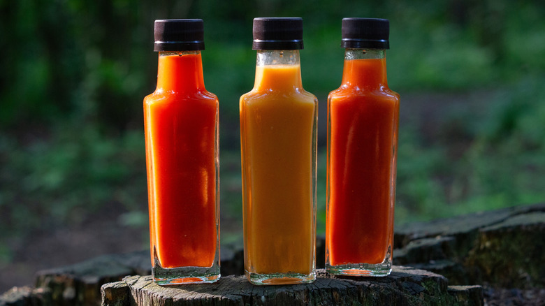 hot sauce bottles lined up on tree stump