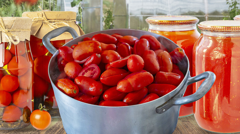 fresh tomatoes in pot and preserved tomatoes in jars