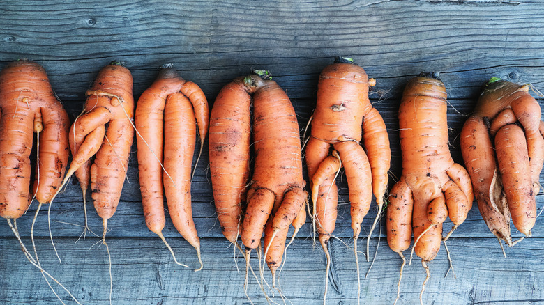 wonky carrots all lined up in a row