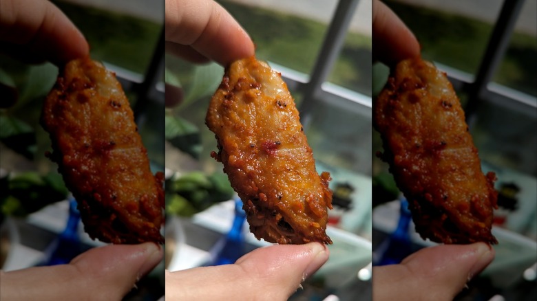 Hand holding Kirkland Signature chicken wing