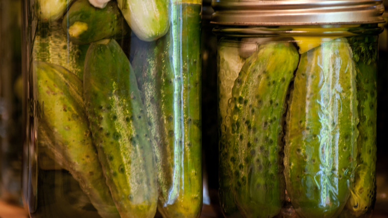 Jar of dill pickles in the store