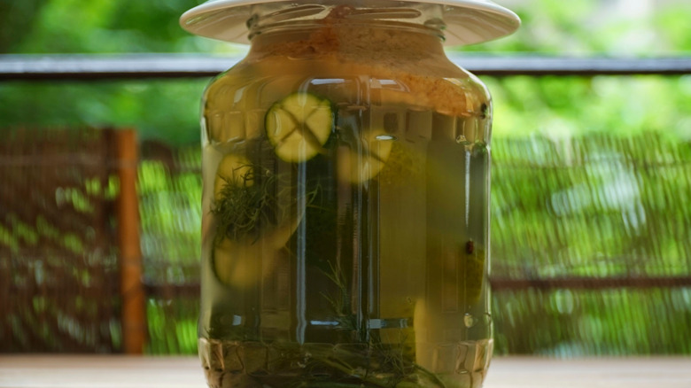 Hungarian pickles in a jar