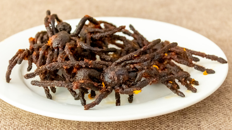 Fried tarantulas on a plate