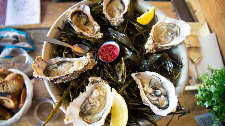 Oysters plated at a restaurant