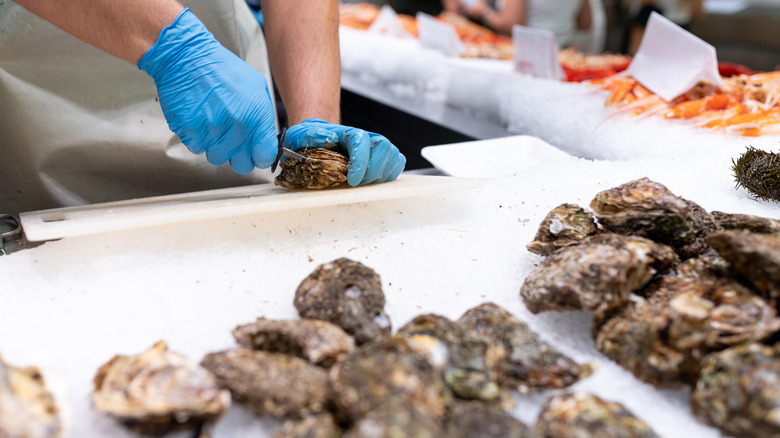 Person shucking oysters at raw bar