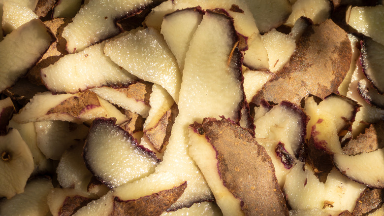 Raw potato peelings for compost.